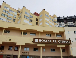 El Ciervo